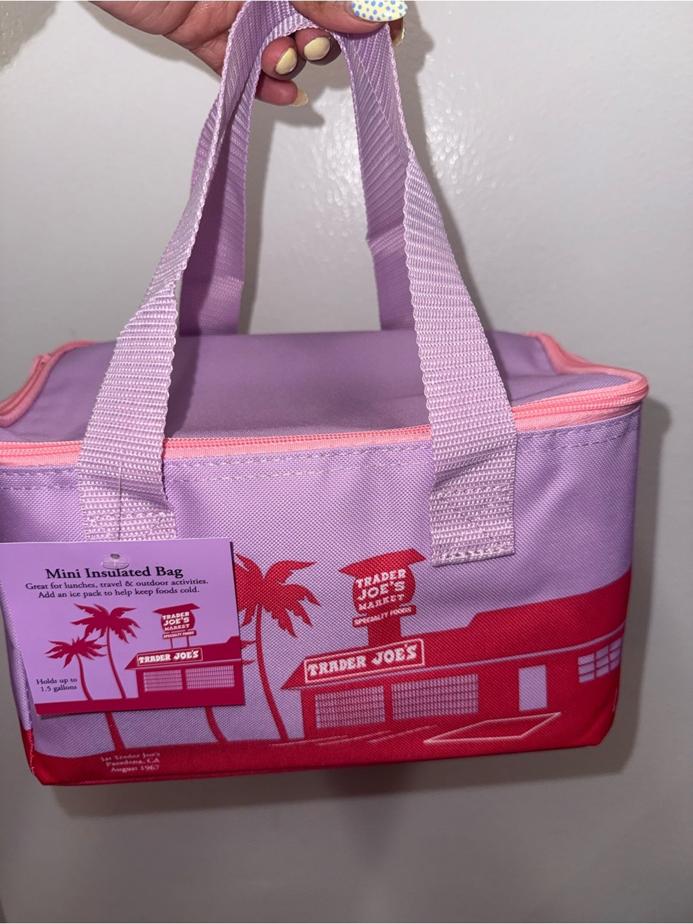 NEW Trader Joe's Mini Insulated Lunch Bag - Lavender & Pink